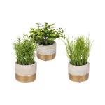 Διακοσμητικά Φυτά σε Γκρι/Χρυσό Γλαστράκι 14 x 16 εκ