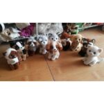 20ΕΚ ΛΟΥΤΡΙΝΟ ΚΑΘΙΣΤΟ ΣΚΥΛΑΚΙ