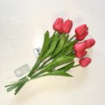 Σετ Τουλίπες Κόκκινες