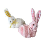 Διακοσμητικό Λαγουδάκι σε Διάφορα Χρώματα