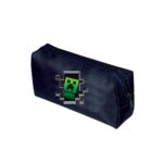 Κασετίνα minecrft