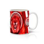 Κούπα ομάδα 4 λιοντάρι