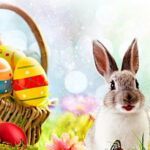 Πασχαλινή Κούπα 325ml