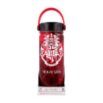 Harry Potter Young Adult Dw Stainless Steel Hydro Bottle 530 ml Licensed