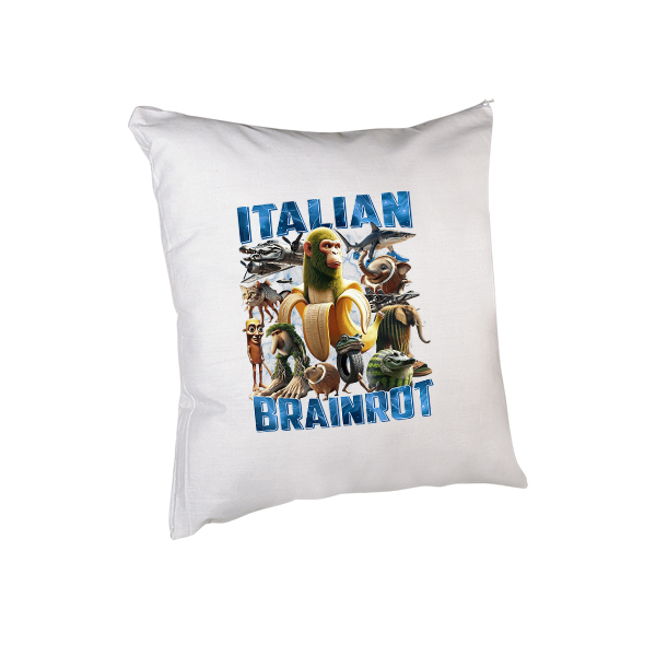 Μαξιλάρι 20*20 εκ Brainrot