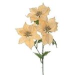 ΧΡ ΚΡΕΜ ΑΛΕΞΑΝΔΡΙΝΟ ΚΛΑΔΙ Χ3 75ΕΚ CHRISTMAS