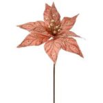 ΧΡ ΣΟΜΟΝ ΑΛΕΞΑΝΔΡΙΝΟ ΚΛΑΔΙ 30Χ55ΕΚ CHRISTMAS