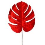 ΧΡ ΚΟΚΚΙΝΟ ΦΥΛΛΟ ΜΟΝΣΤΕΡΑ 65ΕΚ CHRISTMAS