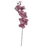 ΧΡ ΡΟΖ ΚΛΑΔΙ ΟΡΧΙΔΕΑ 75ΕΚ CHRISTMAS