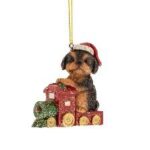 ΧΡ ΚΑΦΕ ΠΟΛΥΡΕΖΙΝ ΣΚΥΛΑΚΙ ΣΕ ΤΡΕΝΟ ΚΡΕΜΑΣΤΟ ΣΤΟΛΙΔΙ 7Χ3Χ7ΕΚ CHRISTMAS