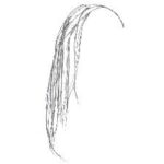 ΧΡ ΑΣΗΜΙ ΚΡΕΜΑΣΤΟ ΚΛΑΔΙ 120ΕΚ CHRISTMAS