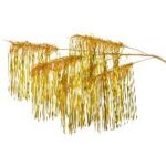 ΧΡ ΧΡΥΣΟ ΚΡΕΜΑΣΤΟ ΚΛΑΔΙ Χ5 130ΕΚ. CHRISTMAS